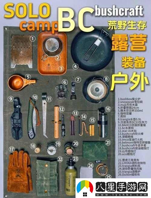 必看往日不再野外武器保存秘籍！90%玩家都不知道的生存訣竅