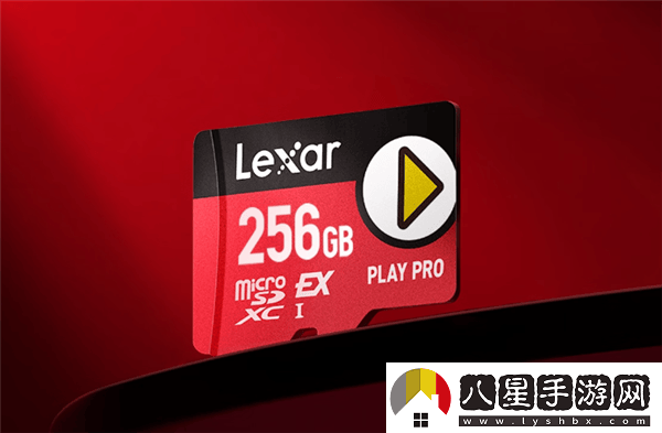 雷克沙1TB